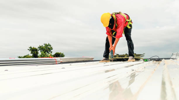 Best Chimney Flashing Repair  in Okemos, MI