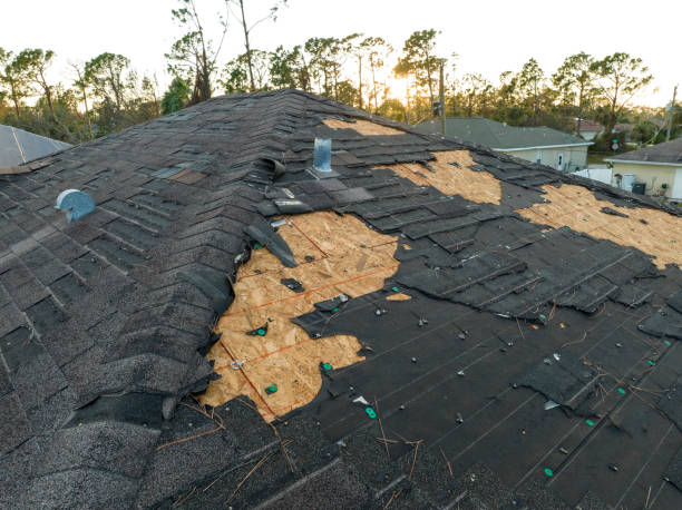 Best Cold Roofs  in Okemos, MI