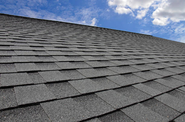 Best Storm Damage Roof Repair  in Okemos, MI